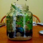 Big Jar Aquarium