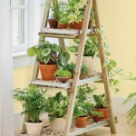 Old ladder herb garden