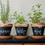 Pot herb garden