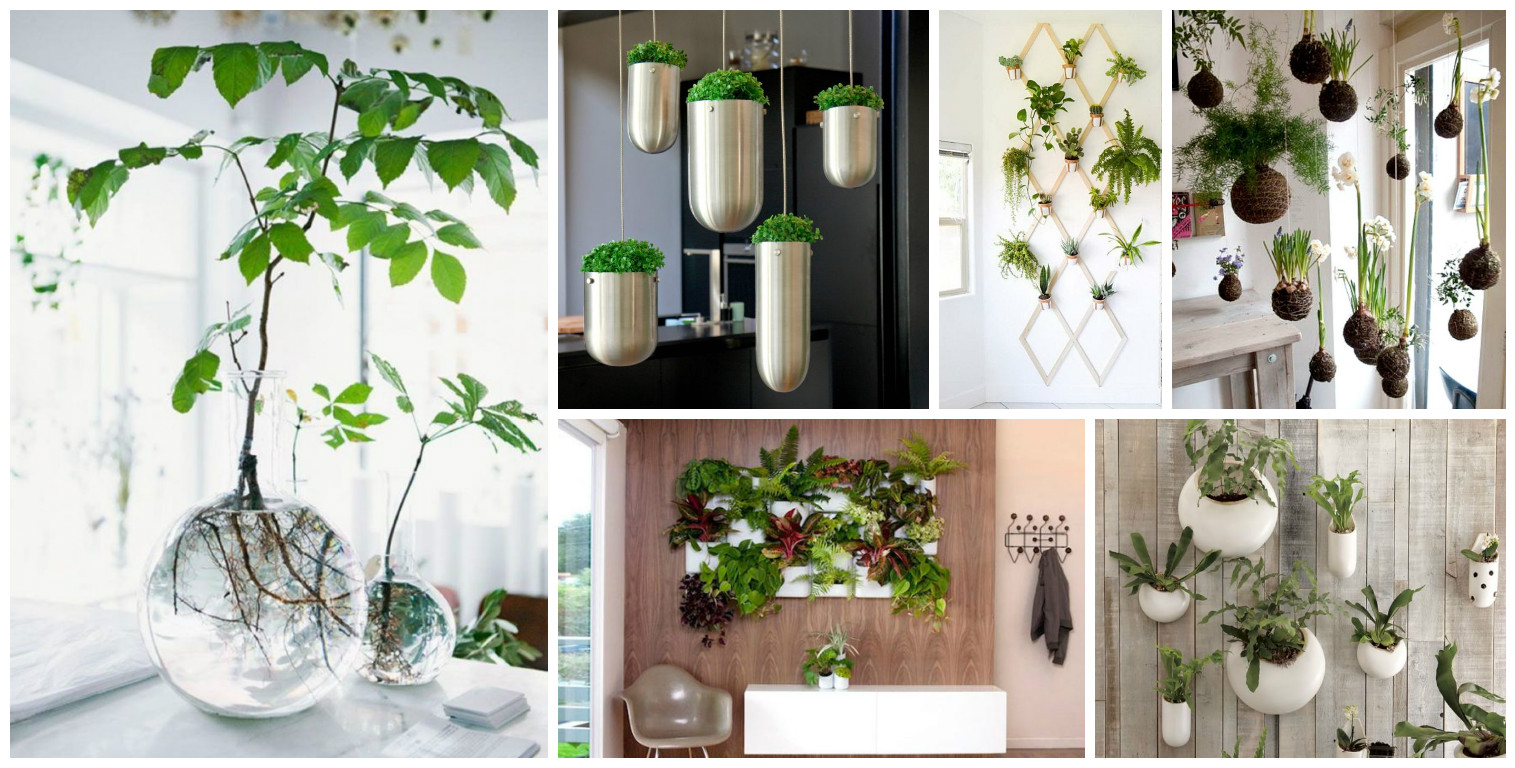 14 Fresh Mini Indoor Gardens That Will Surprise You - Ideas to Love