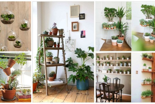 12 Creative Ideas How To Display Your Indoor Plants